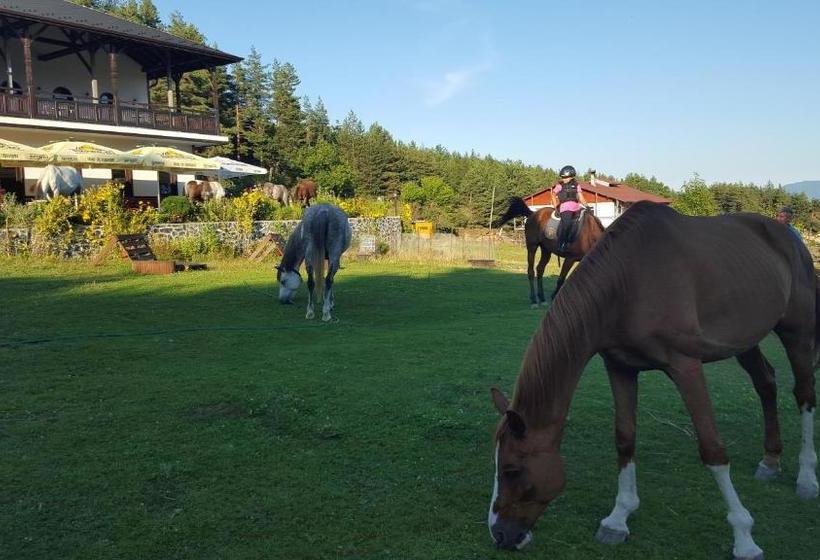 Отель Rusaliite Adventure House