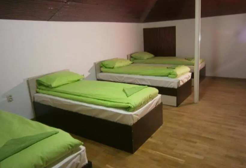 Ivory Tower Hostel