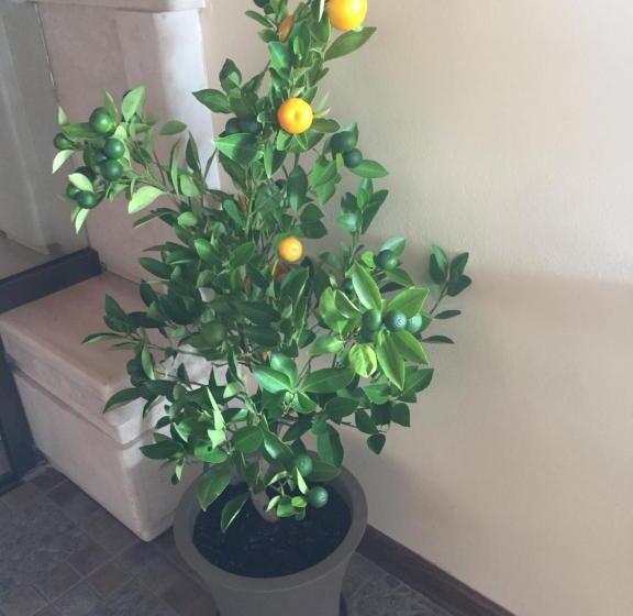 White House Family Hotel Spa Zone