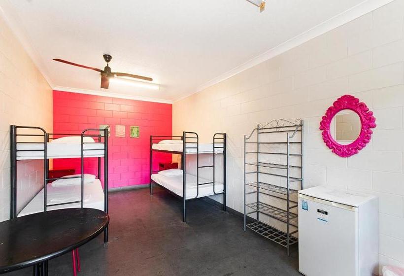 فندق صغير Adventurers Backpackers