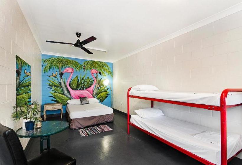 فندق صغير Adventurers Backpackers