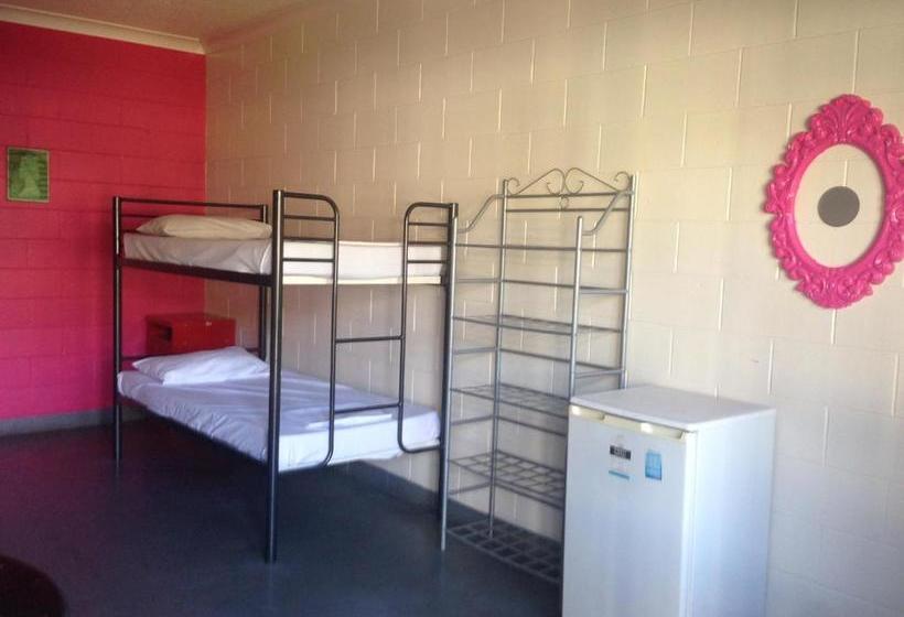 فندق صغير Adventurers Backpackers