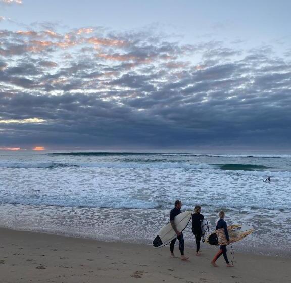 ユースホステル Dolphins Backpackers