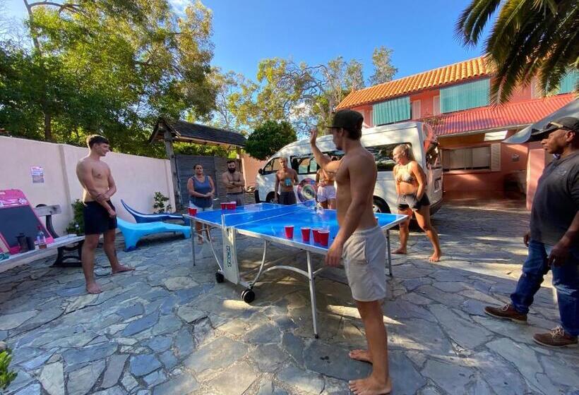 ユースホステル Dolphins Backpackers