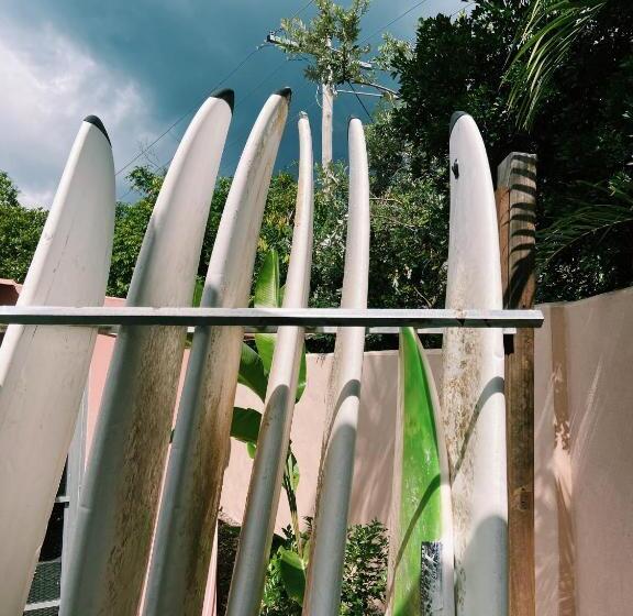 ユースホステル Dolphins Backpackers