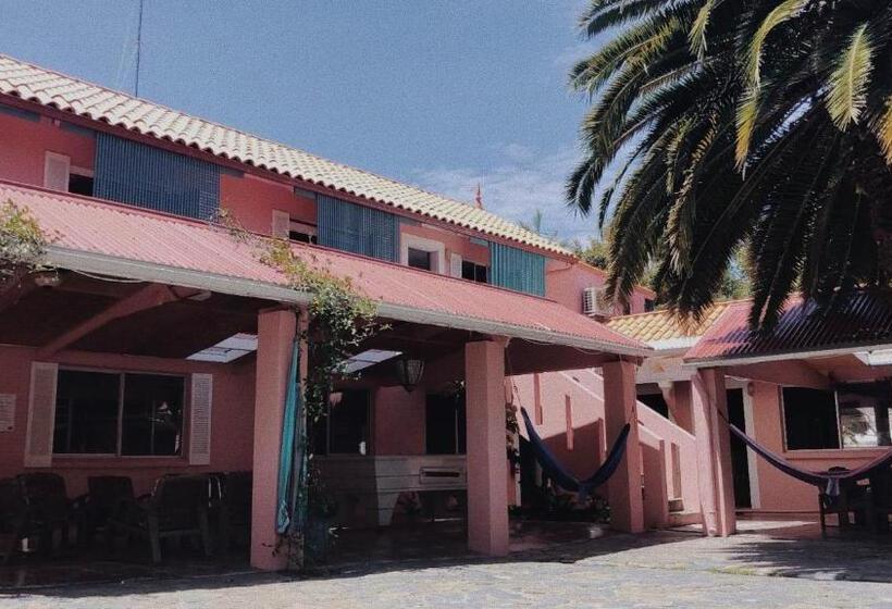 ユースホステル Dolphins Backpackers