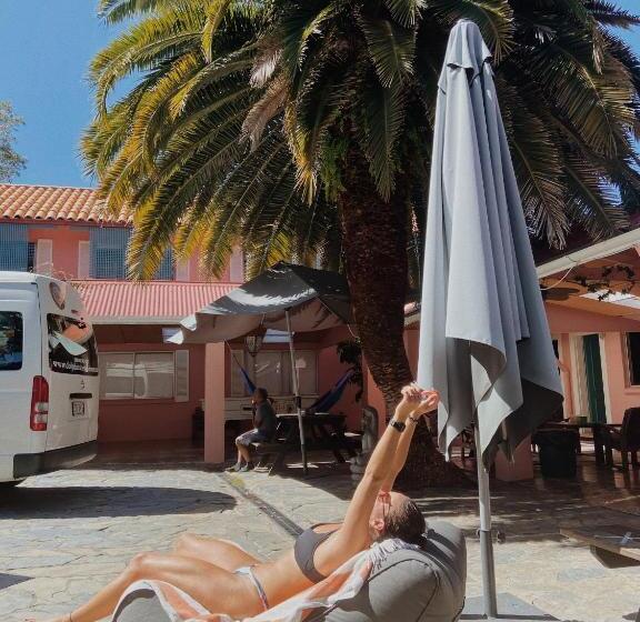 ユースホステル Dolphins Backpackers