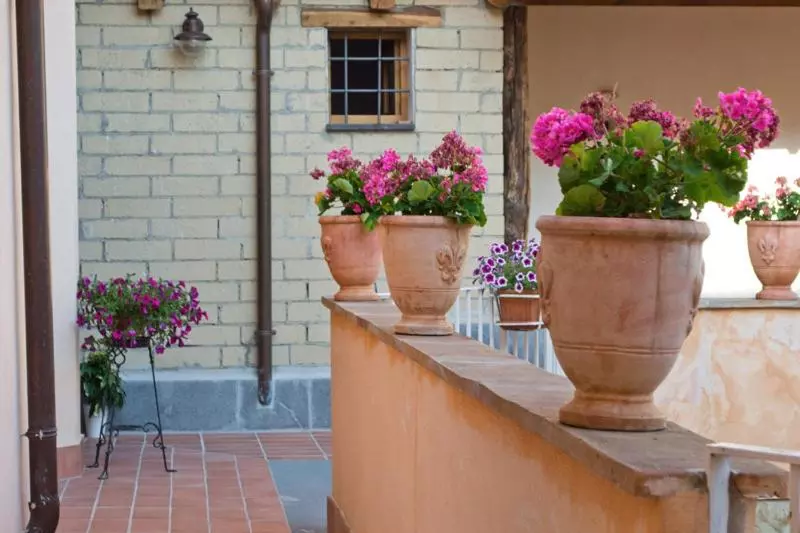 B&b Corte Catalana