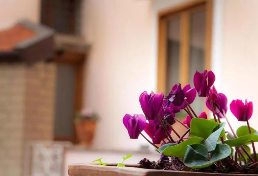 B&b Corte Catalana