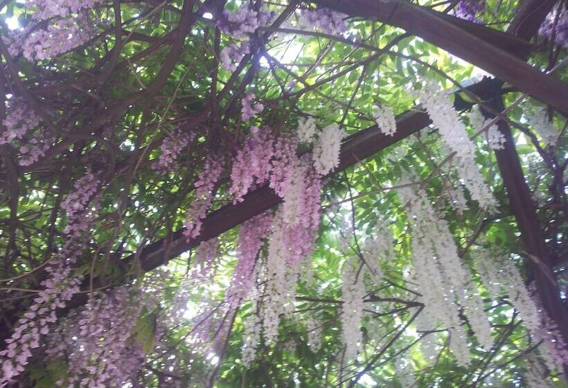 B&b Il Pioppo E La Fonte