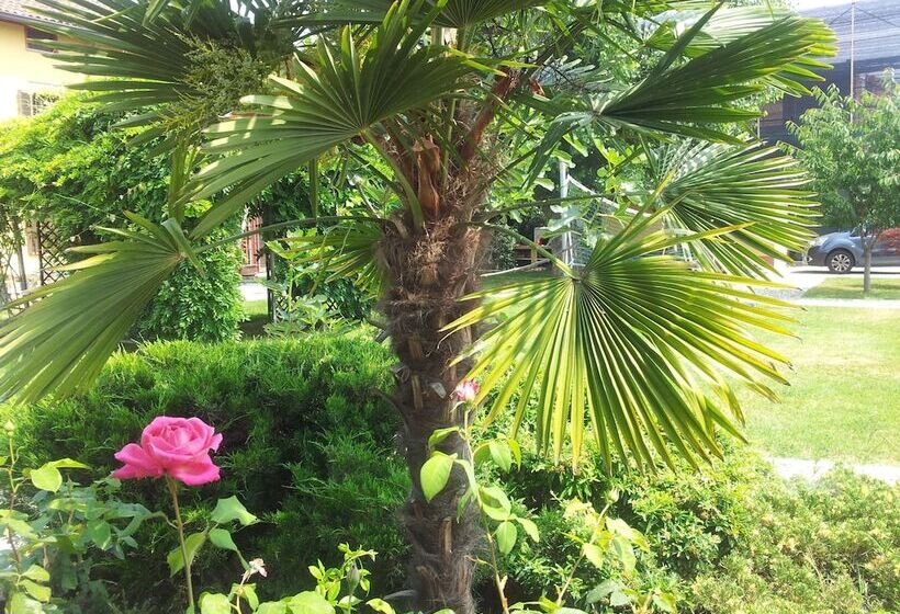 B&b Il Pioppo E La Fonte