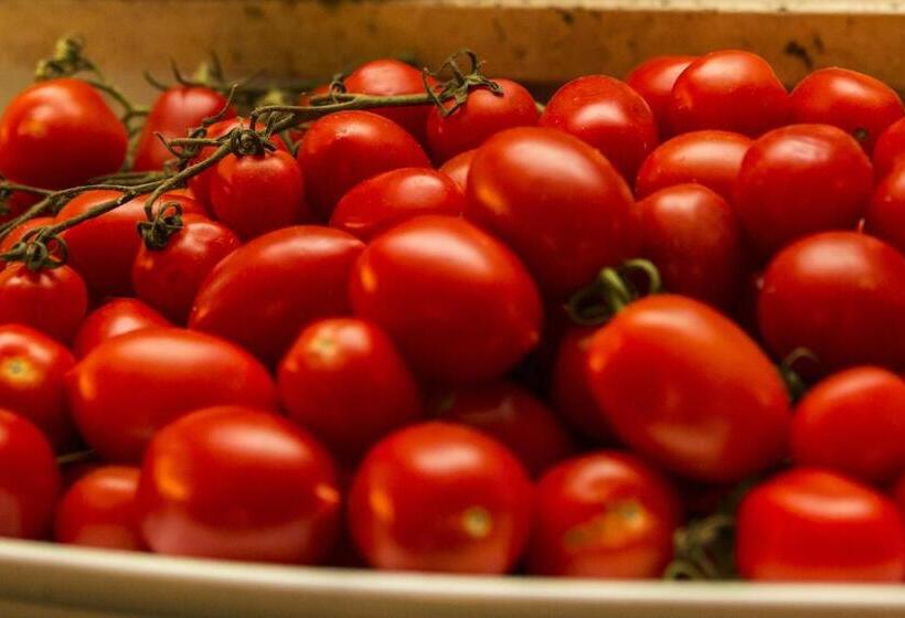 צימר Locanda Del Bagatto