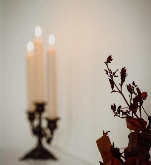 تختخواب و صبحانه Windarra On High