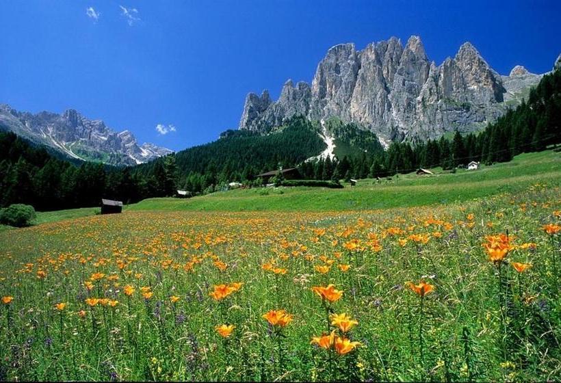 בית מלון כפרי Central