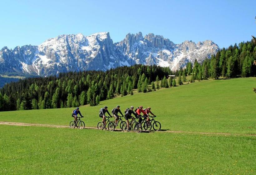 בית מלון כפרי Central