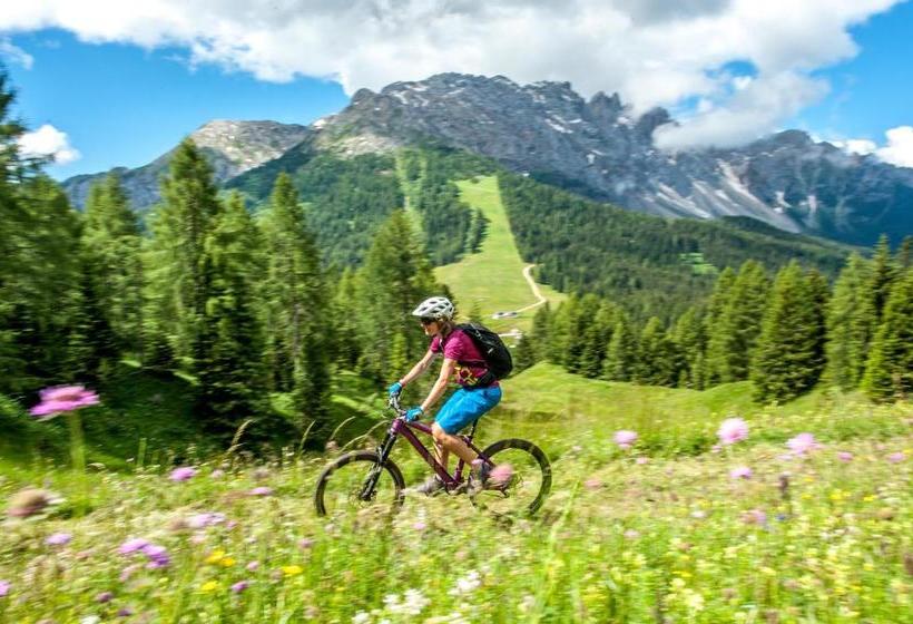 בית מלון כפרי Central