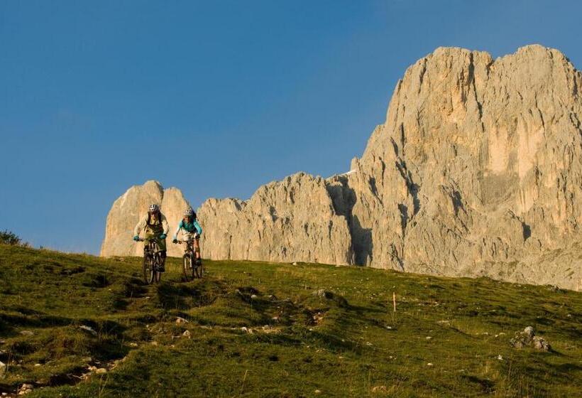 בית מלון כפרי Central