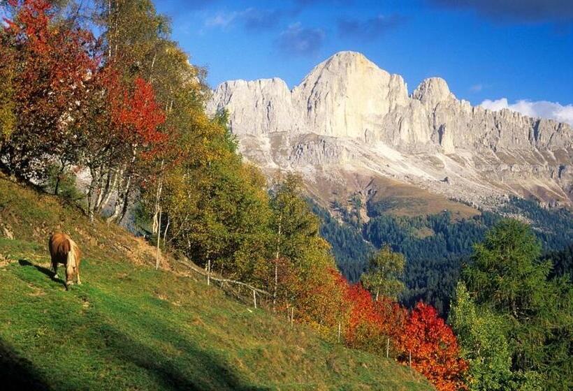 בית מלון כפרי Central