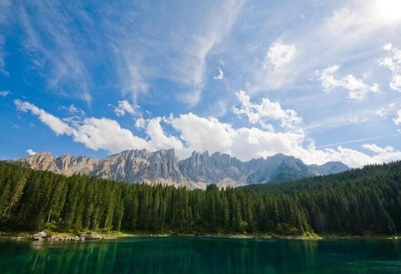 בית מלון כפרי Central