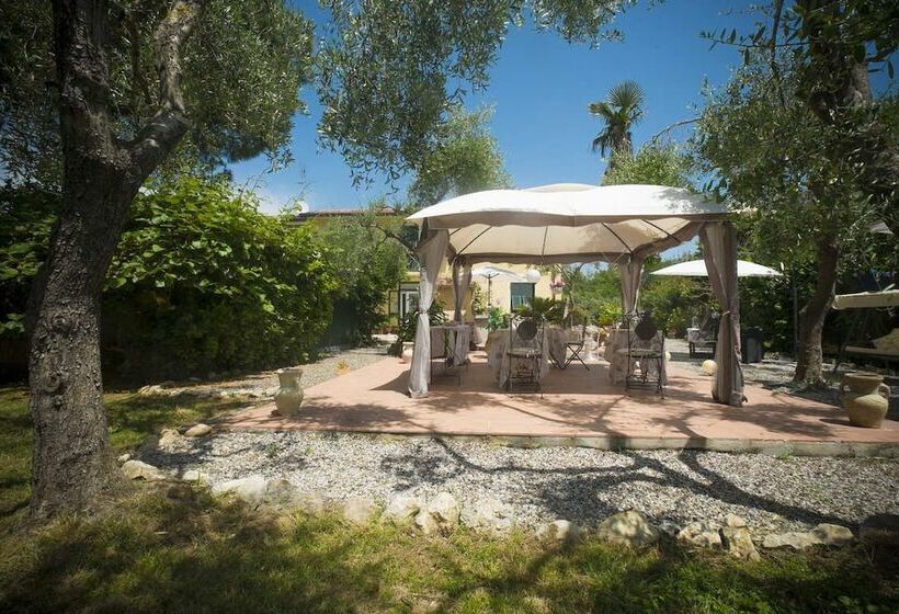 Podere Bellarina B&b