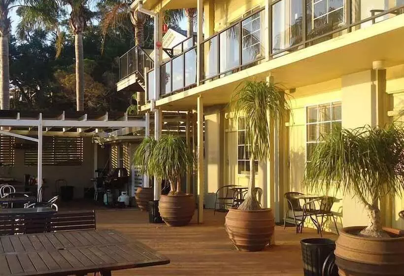 Squid S Ink Motel