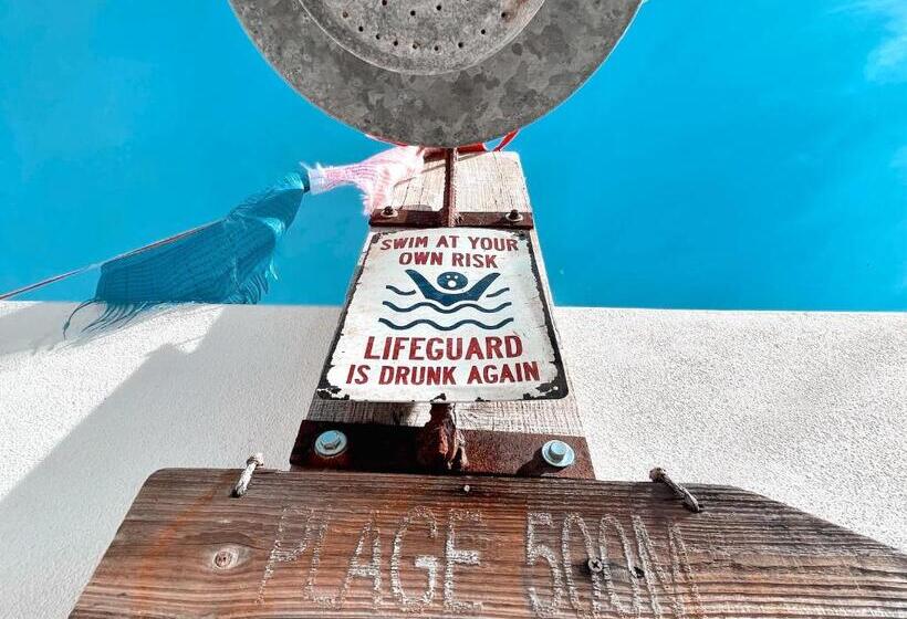 Bed and Breakfast Alentejo Zen Bnb, Cozy Suite, Patio, Private Pool And Entrance, Fire Pit