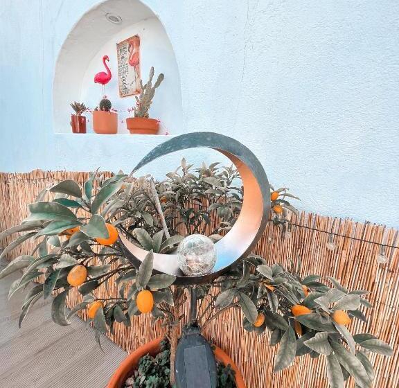 Bed and Breakfast Alentejo Zen Bnb, Cozy Suite, Patio, Private Pool And Entrance, Fire Pit