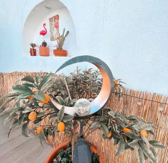 Aamiaismajoitus (B&B) Alentejo Zen Bnb, Cozy Suite, Patio, Private Pool And Entrance, Fire Pit