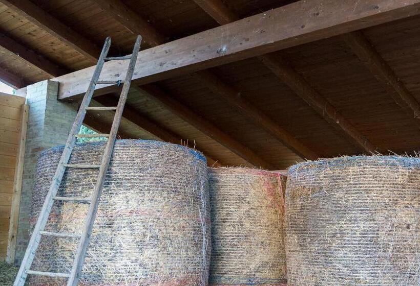 ホテル Agriturismo   La Campagna Di San Francesco