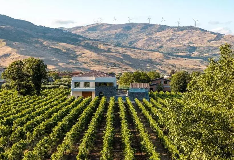 ホテル Camporè Etna Wines And Resort