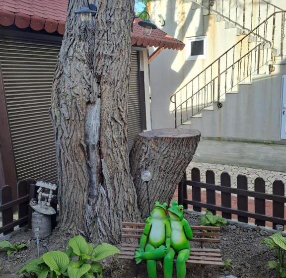 Pensjonat Casa Ancuta