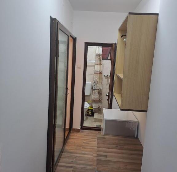 Pensjonat Casa Ancuta