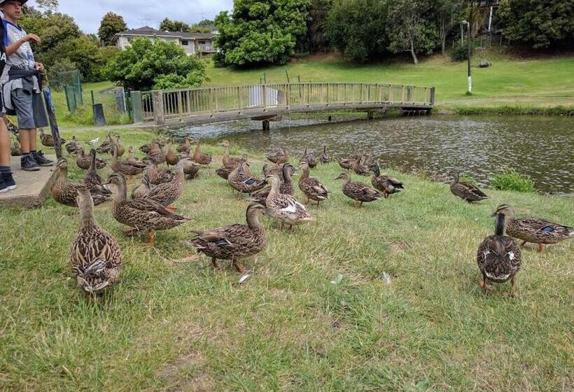 Pensión Paris Studio