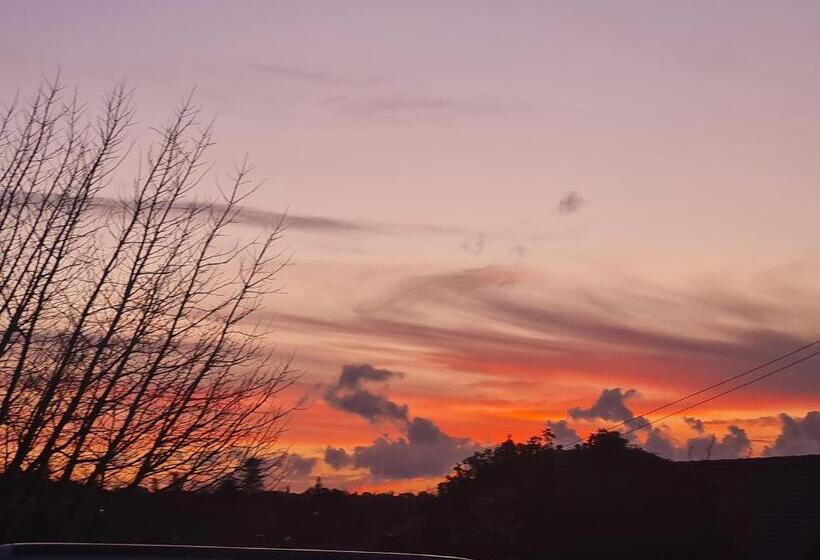 Pensión Paris Studio