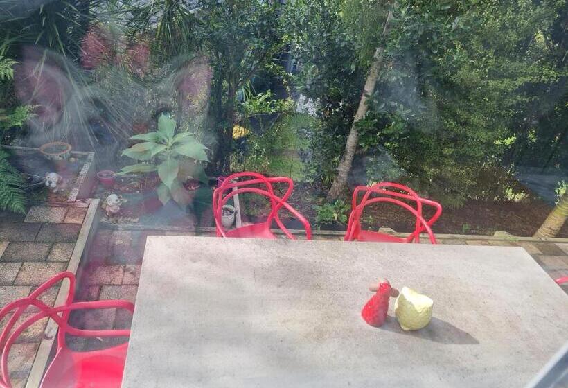 Pensión Paris Studio