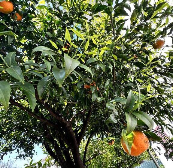 Bed and Breakfast Casa Primo