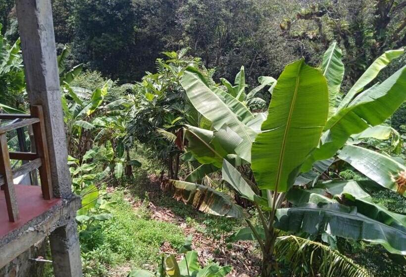 酒店 Rs Holiday Residence