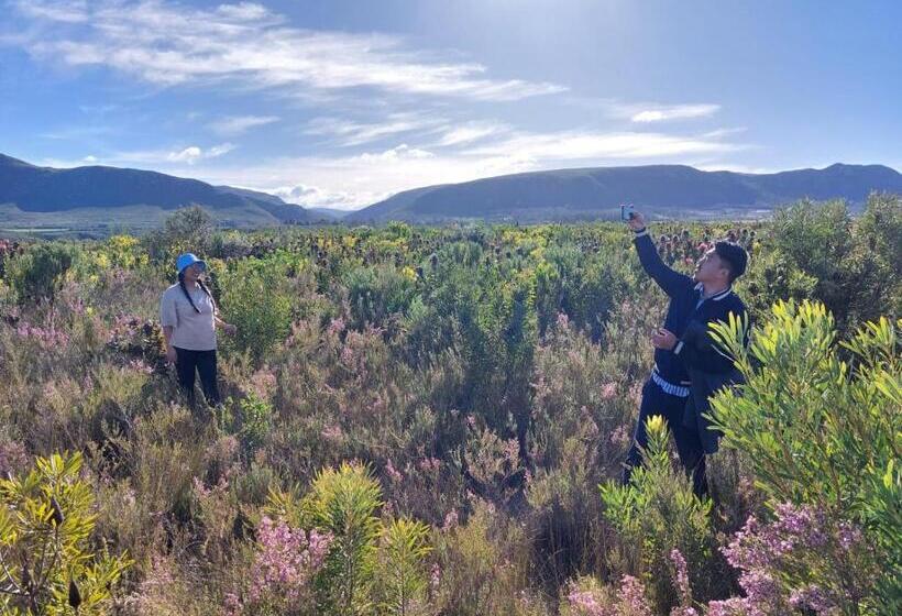 膳宿费 Die Regte Plek