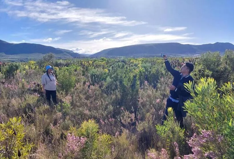 Pension Die Regte Plek