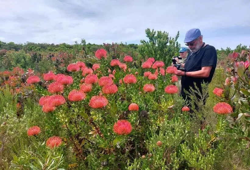Pension Die Regte Plek