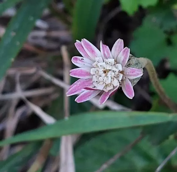 Pension Die Regte Plek