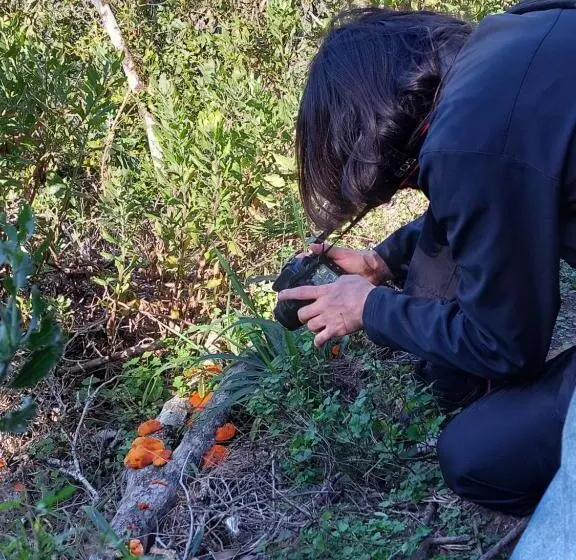 Pension Die Regte Plek