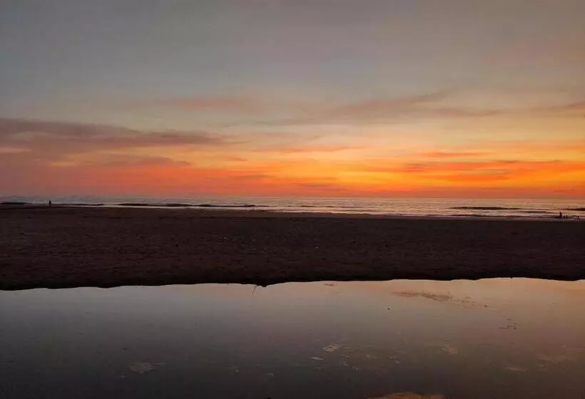 ペンション Niyama Beach Stay