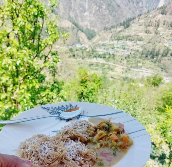 Пансион Tatvamasi Living