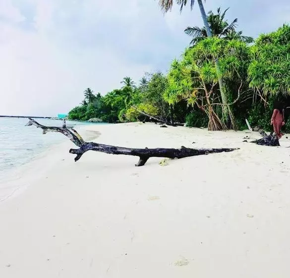 Picturesque Luxury Hotel Close To Beach