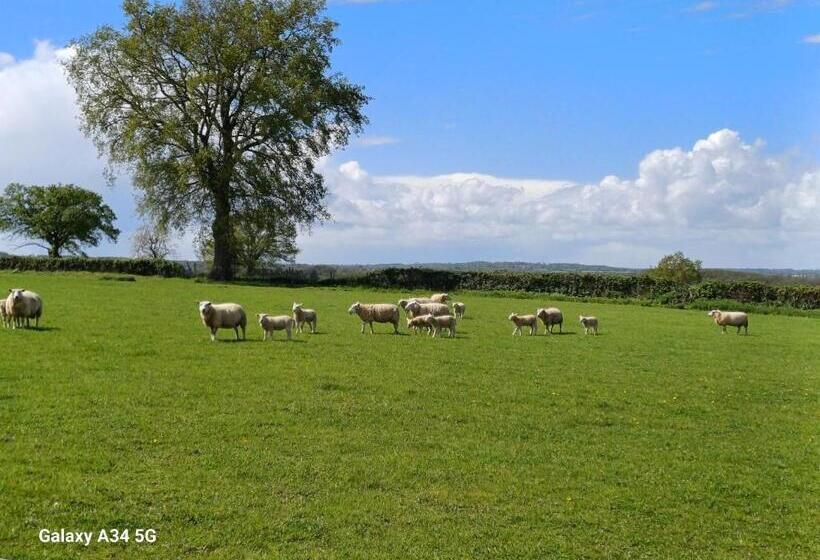 צימר Les Chaumes Violettes