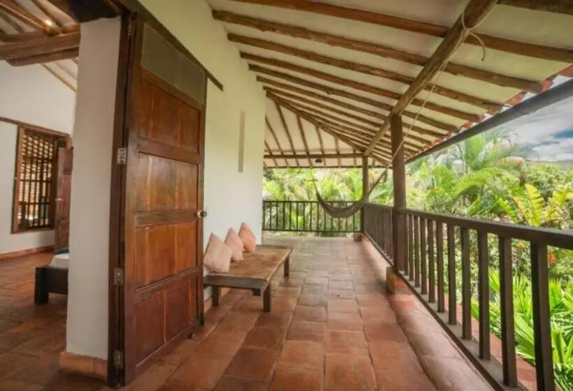 ホテル Masaya Achiotte   Superior Room   Colombia
