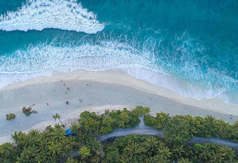 هتل Suffix Retreat