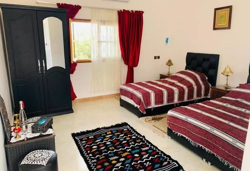 ペンション Auberge Dar Elfatouakia