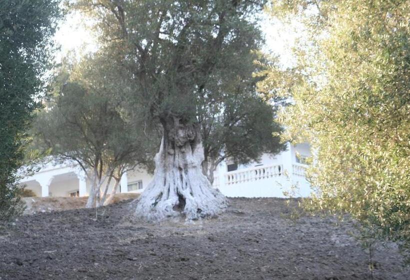 پانسیون Domaine Des Sloughis